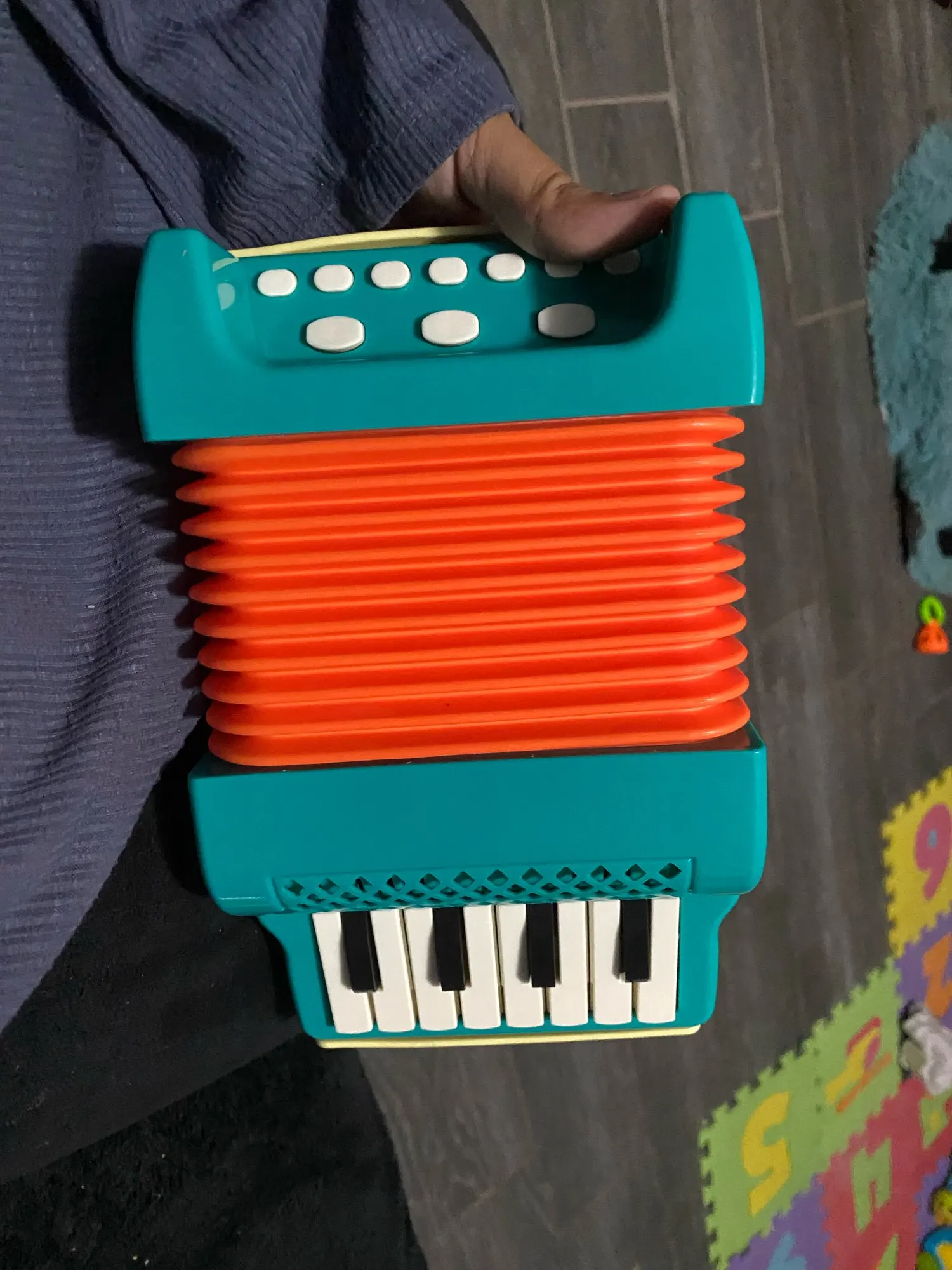 Simple Accordion Designed for Small Hands