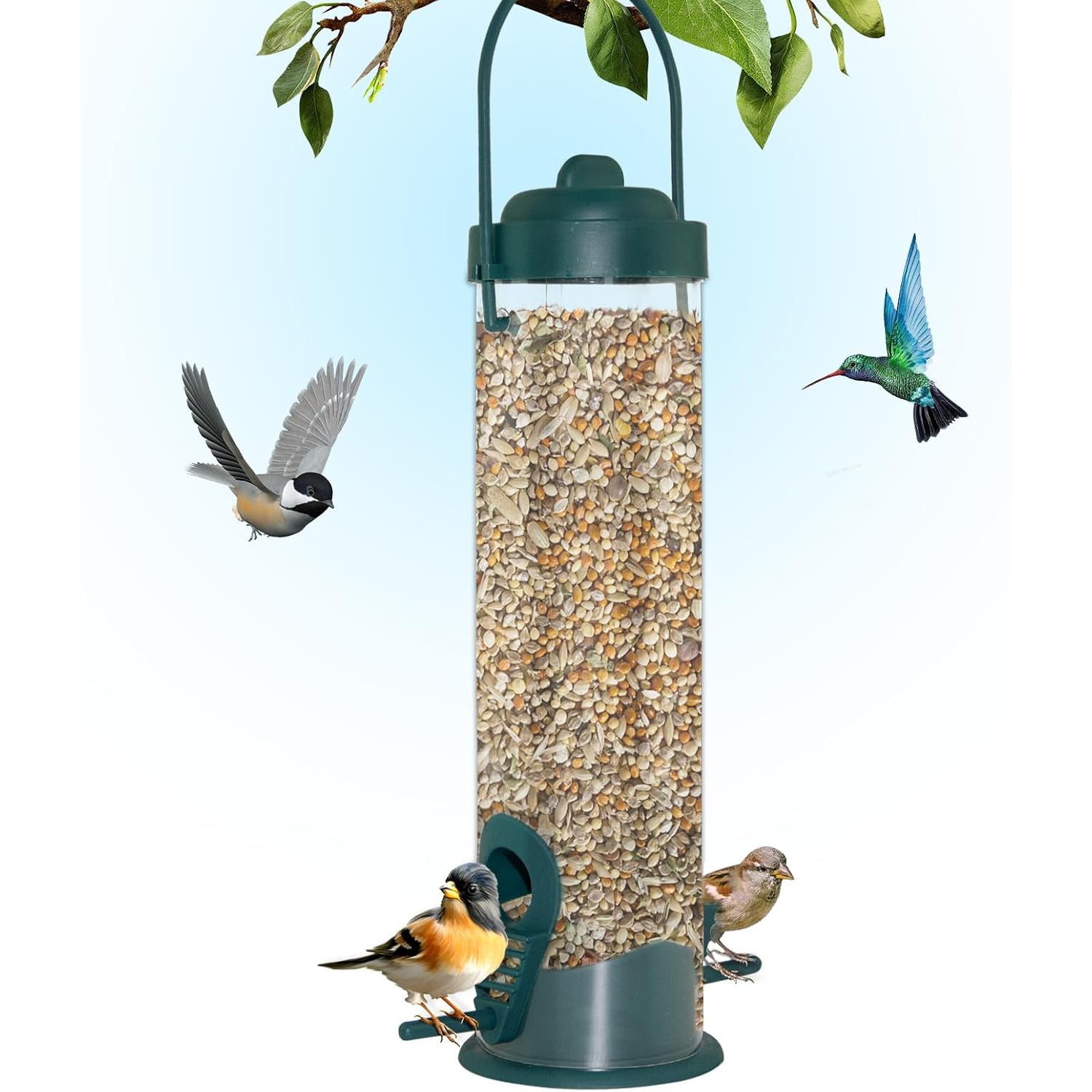 Squirrel-Proof Bird Feeder - Decoration Hanging Hummingbird Water Feeder Tools