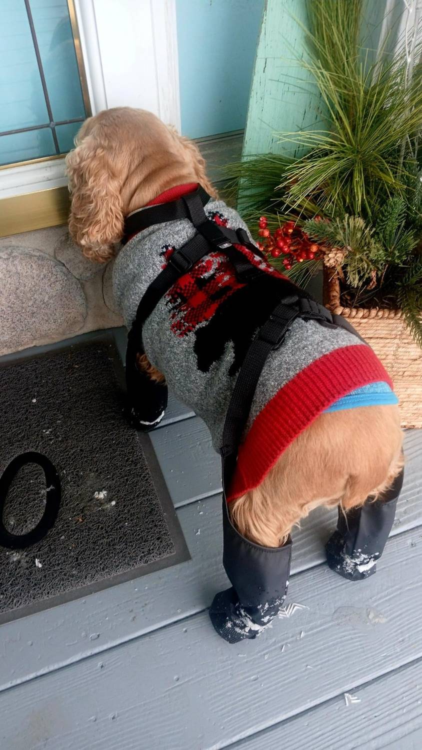Suspender Dogs Boots - Waterproof Dog Shoes Adjustable Dog Boots Non Slip Breathable