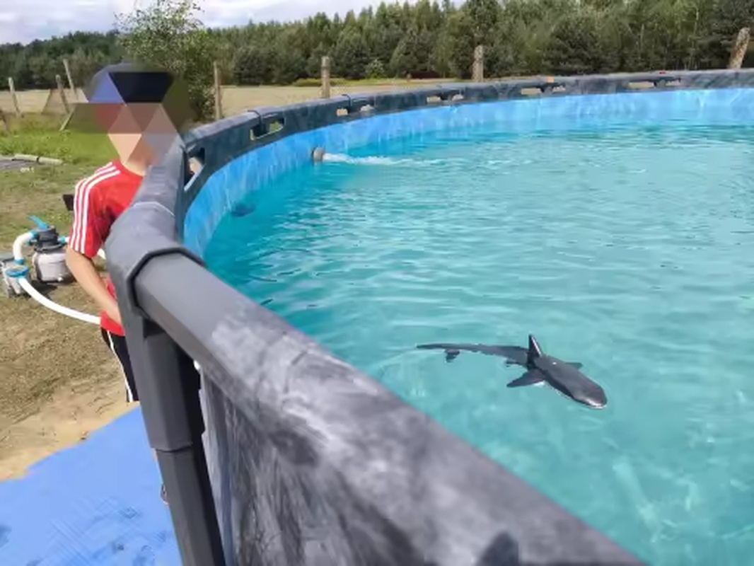 Water Spray Remote Control Shark Toy Electric Toy under the Water Gift for Kids