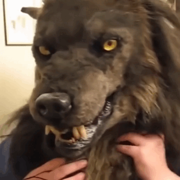Wolf Mask Halloween Costume Accessory with Glowing Eyes, Movable Jaw, and Adjustable Strap