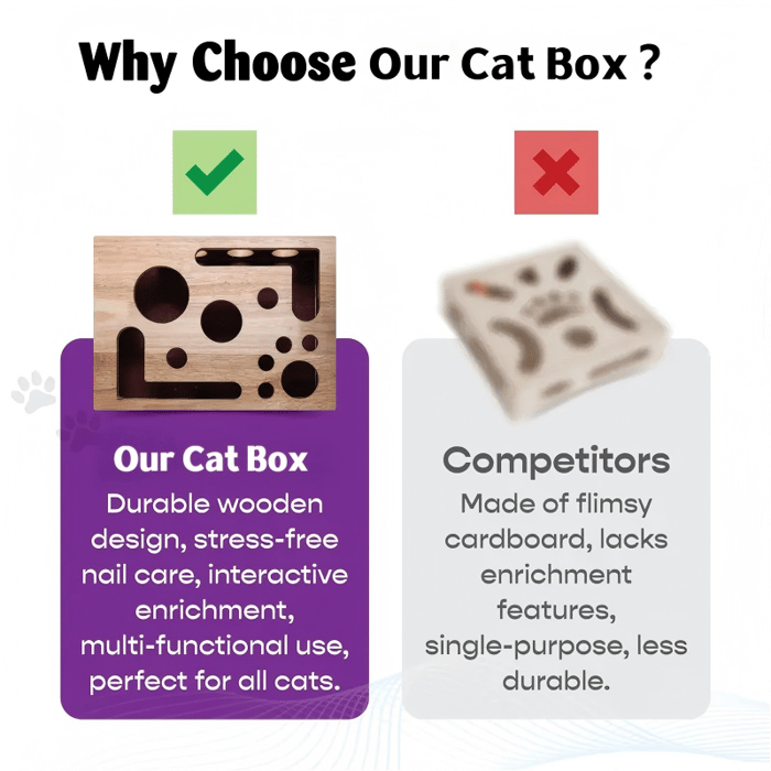 Cat Enrichment File Box | The Fun Way To Trim Claws
