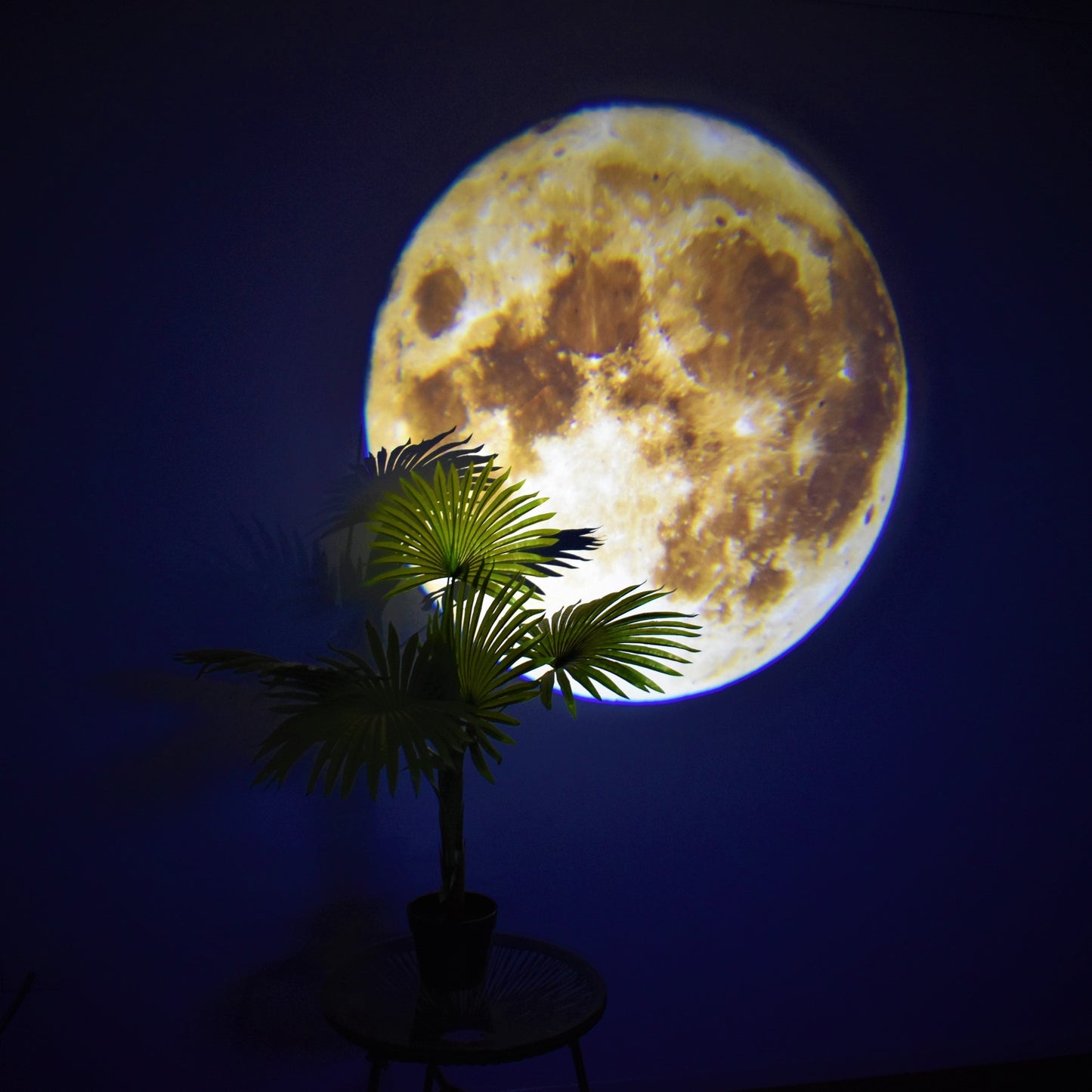 Moon Projection Lamp