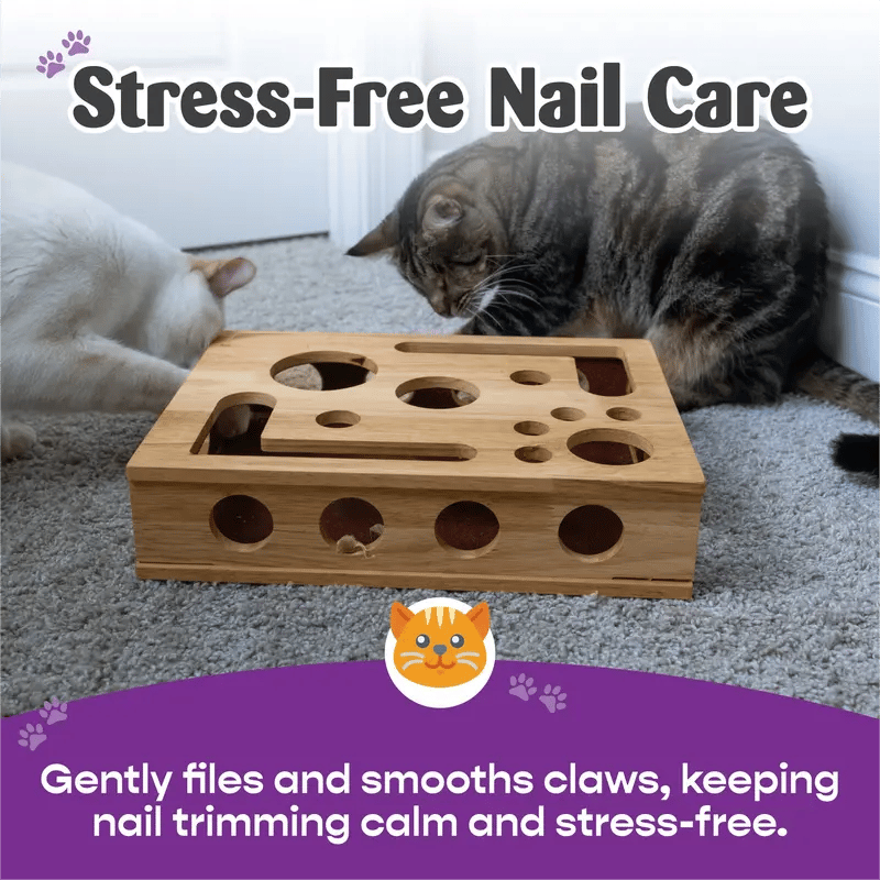 Cat Enrichment File Box | The Fun Way To Trim Claws