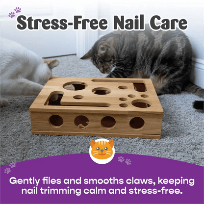 Cat Enrichment File Box | The Fun Way To Trim Claws