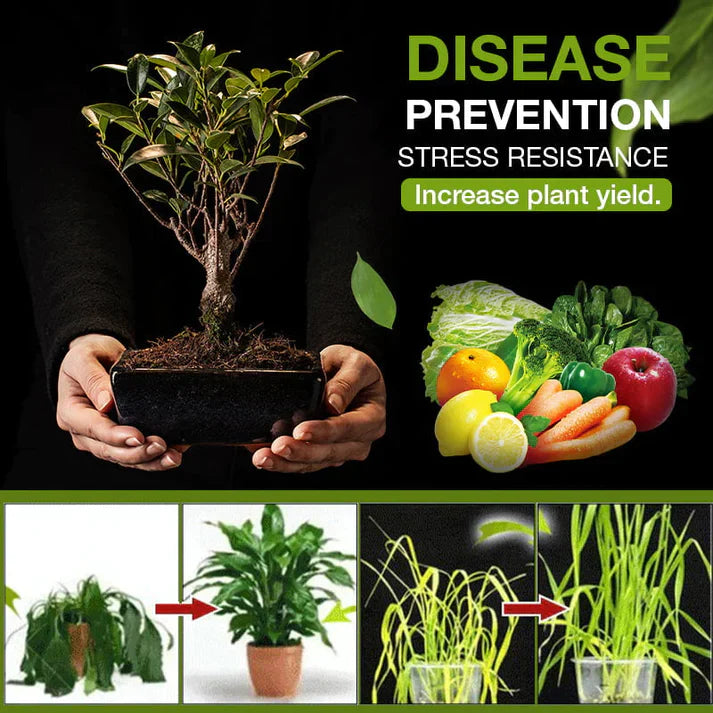 Soil Activator Granules for Everyday Use