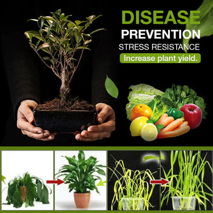 Soil Activator Granules for Everyday Use