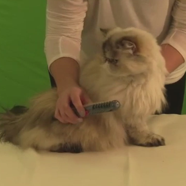 Pet Dematting Comb and Grooming Brush, Removes Knots, Mats & Tangles, Battery-Powered