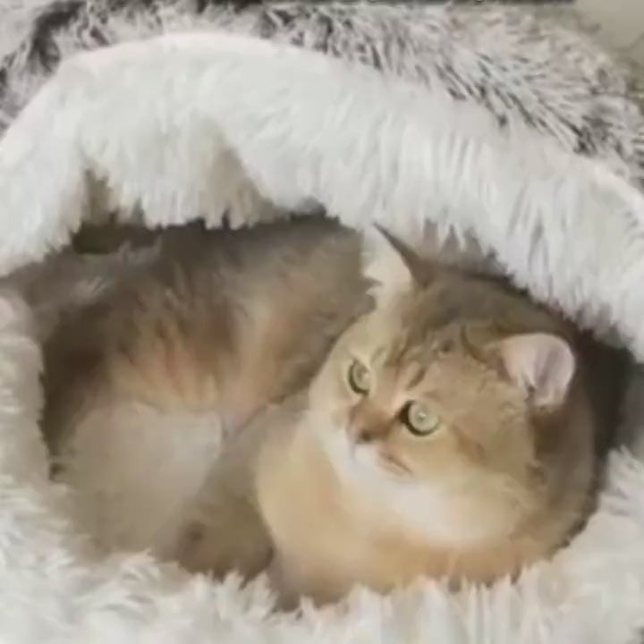 Cozy Bed for Dogs and Cats with Plush Soft Material, Self-Warming Insulation
