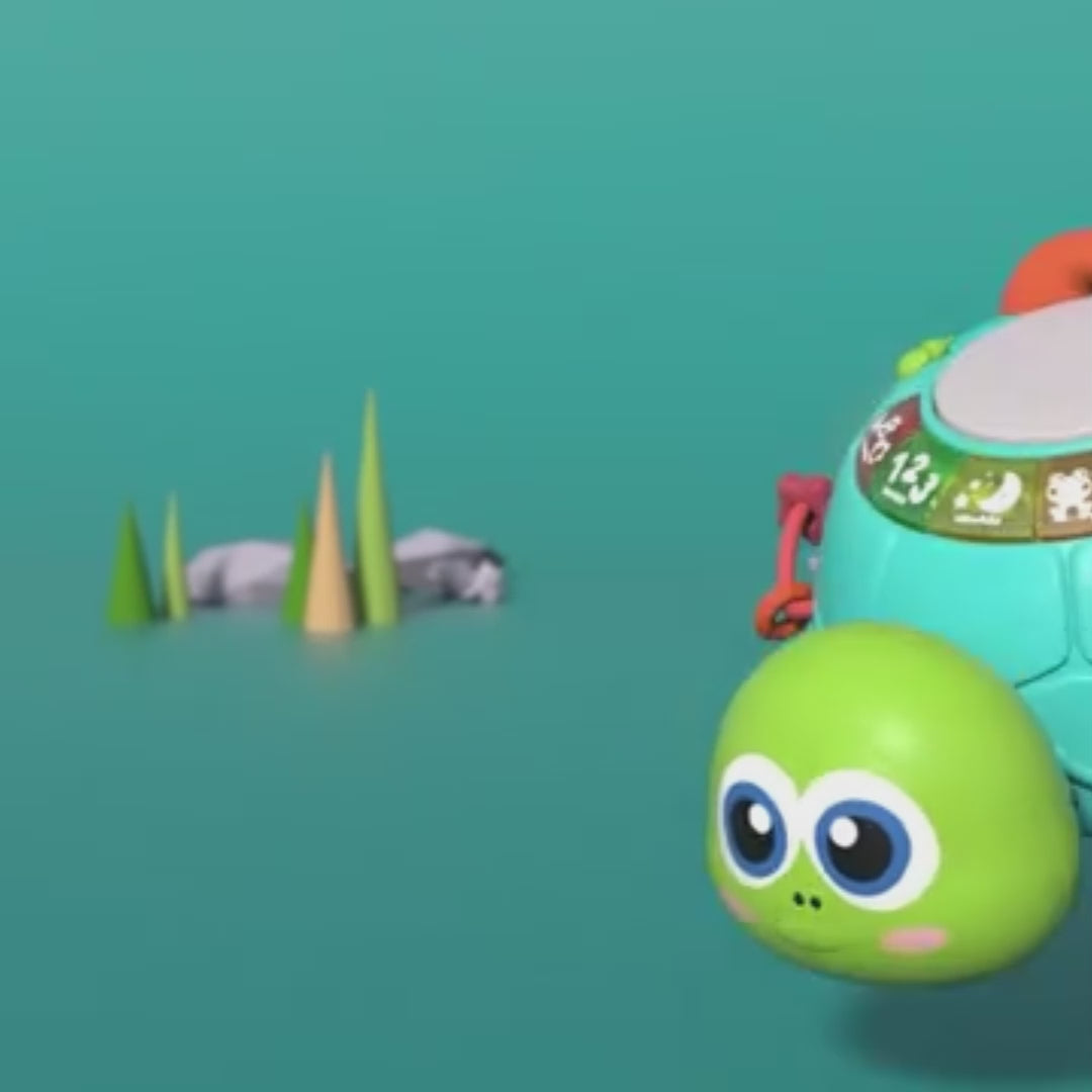 Baby Musical Turtle Toy with Light & Sound, Safe for Ages 6 Months +