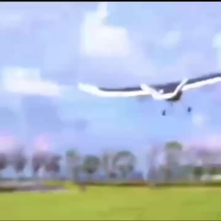 2.4GHz Remote Control Eagle Bird with Built-in Battery, Safe for Ages 8+