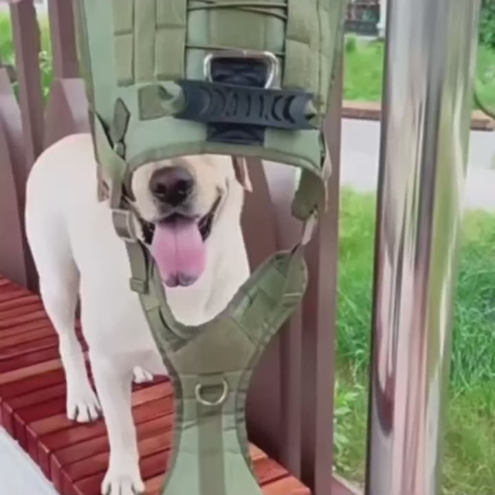 Large Dog Harness and Leash Set – No-Pull Training Vest with Collar, Made from Military-Standard 1050D Nylon