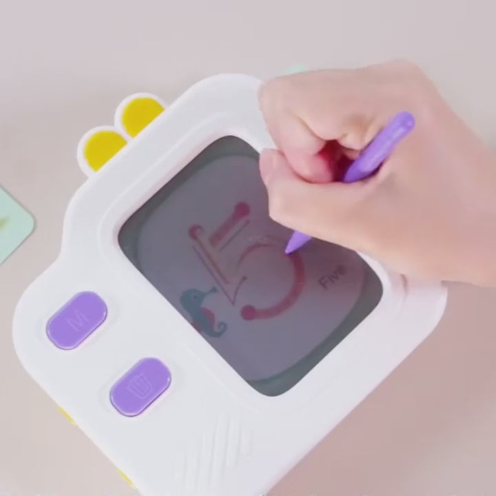 Interactive Flash Cards with Clear LCD Screen and Sound, 120 Double-Sided Cards, Safe for Ages 3+