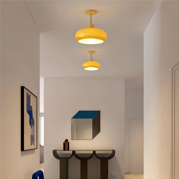 Vintage Bauhaus Glass Disc Ceiling Light